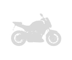 original size screen (37cm-épaisseur 4mm ) ermax for versys 1000 2019 -2020 clear 